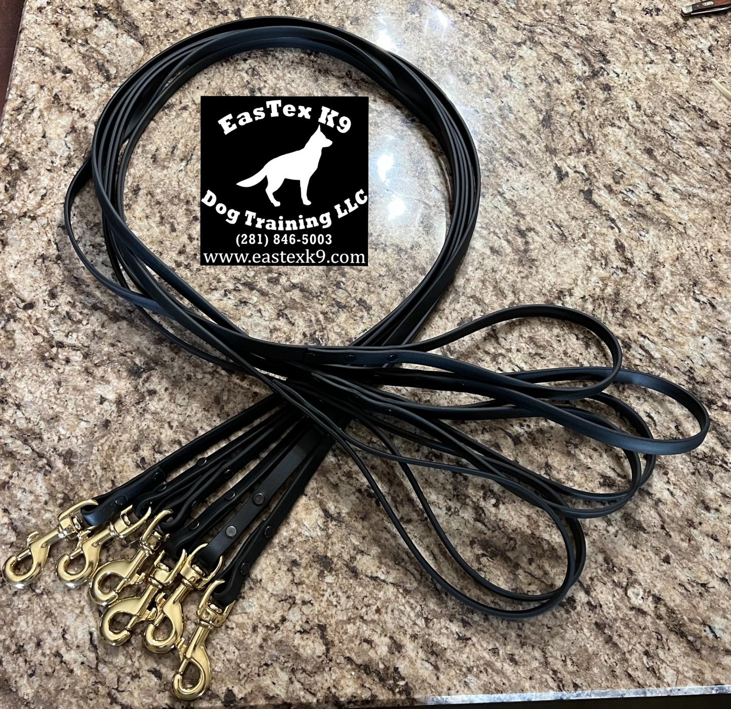 5' Long Biothane Leash 1/2" Wide